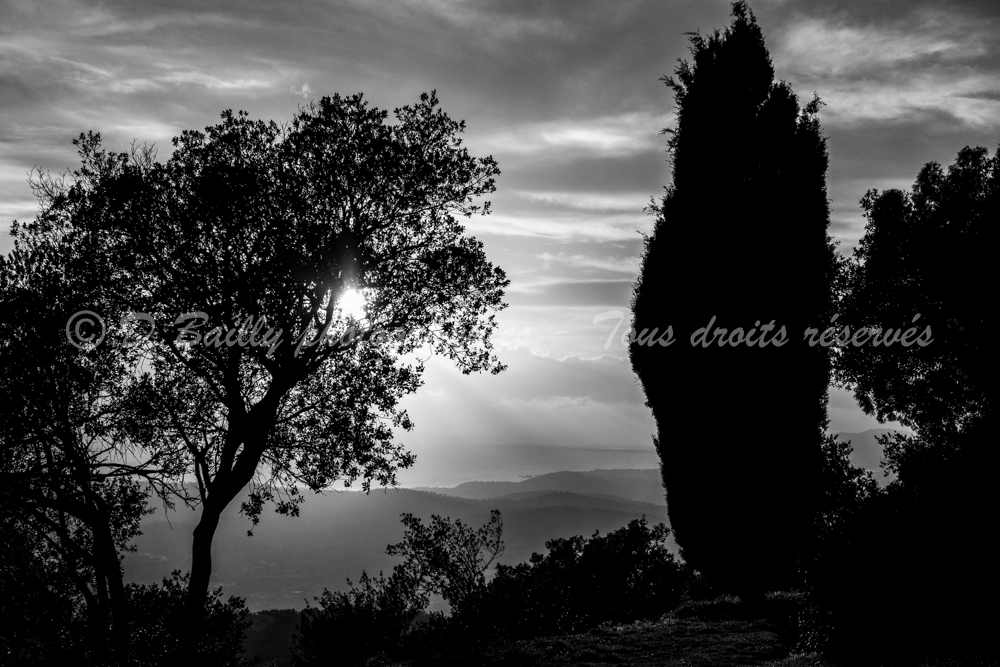 , Photo par Denis Bailly