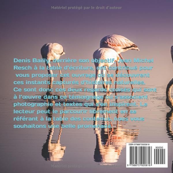 Arrière de couverture du livre sur la photo : Il a suffit d'un instant: Photographie et Textes