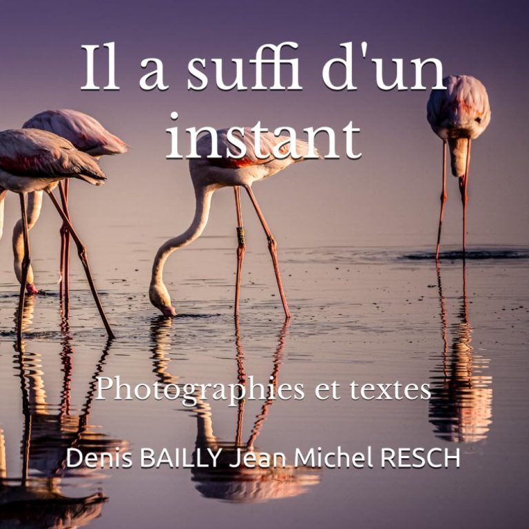 Couverture du livre sur la photo : Il a suffi d'un instant: Photographie et Textes