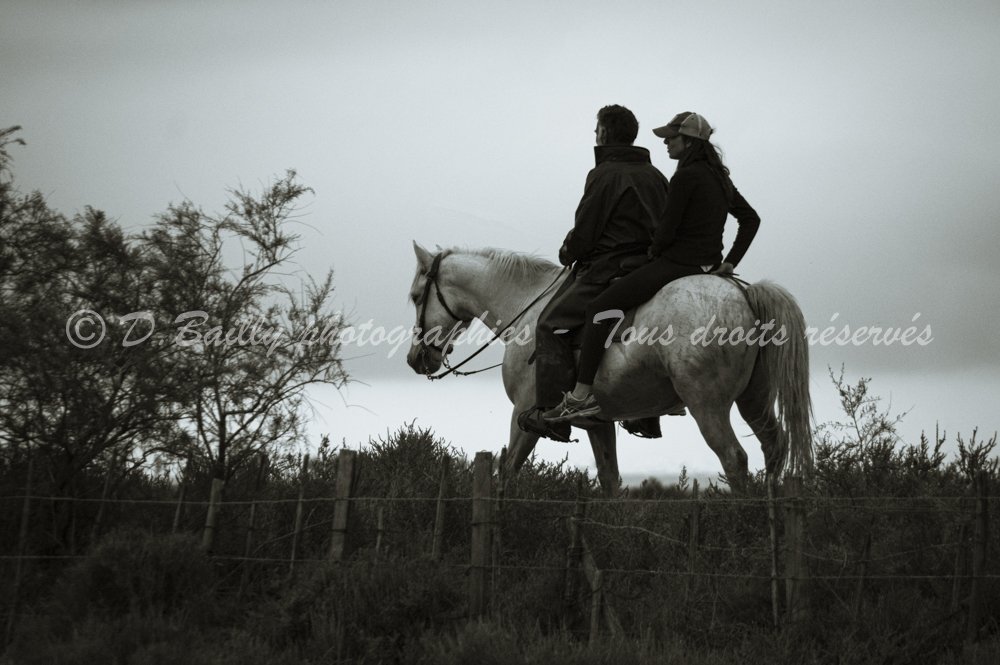 , Photo par Denis Bailly