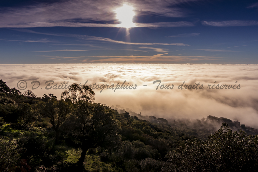 , Photo par Denis Bailly