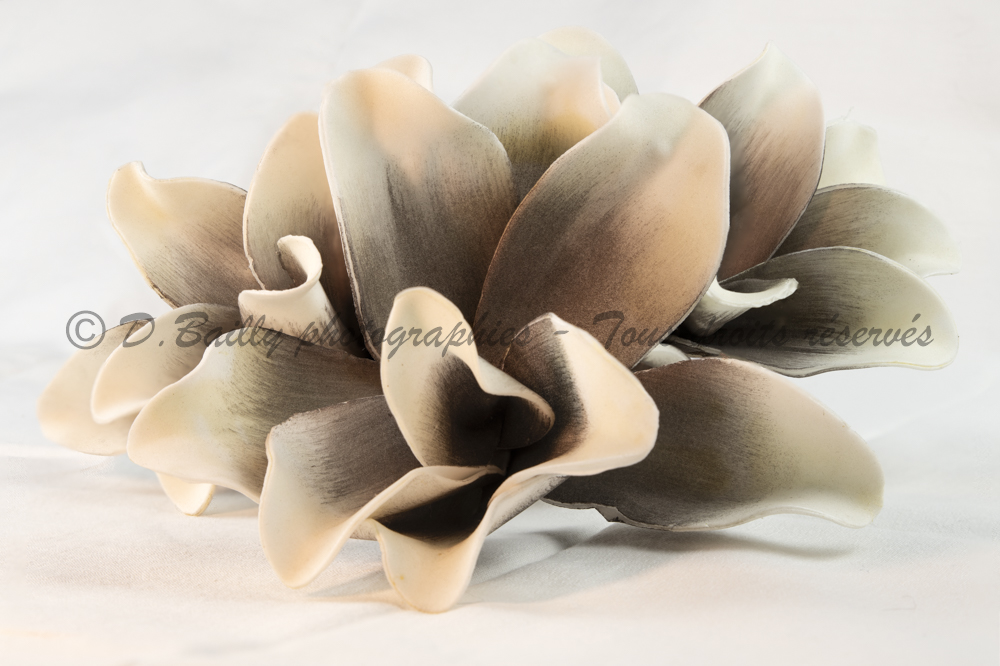 , Photo par Denis Bailly