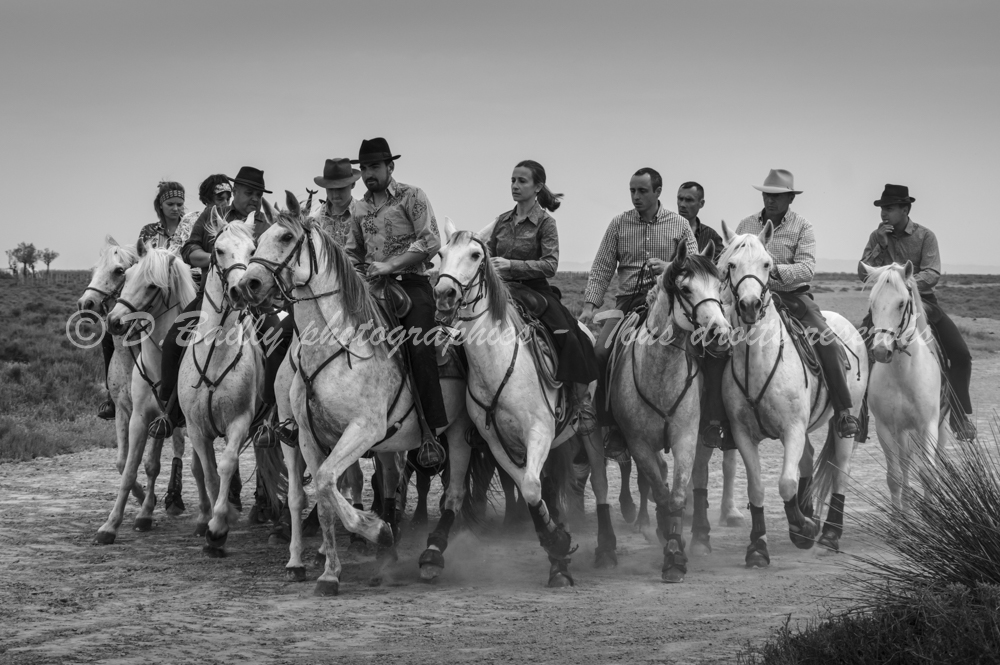 , Photo par Denis Bailly