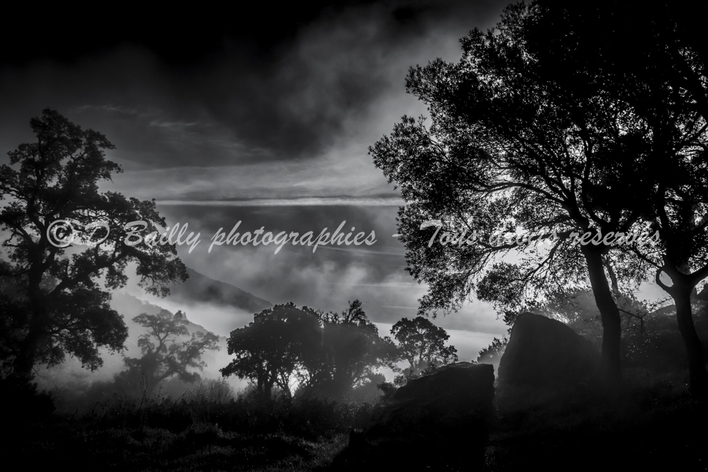 , Photo par Denis Bailly