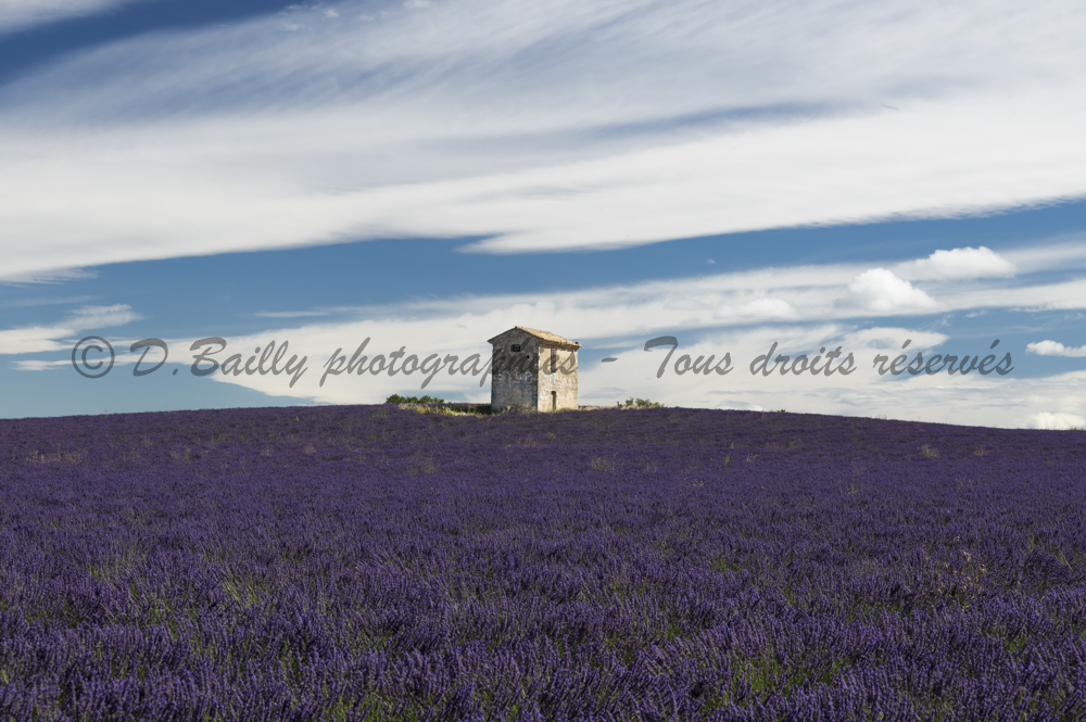 , Photo par Denis Bailly