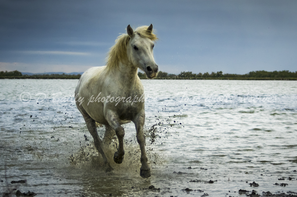 , Photo par Denis Bailly