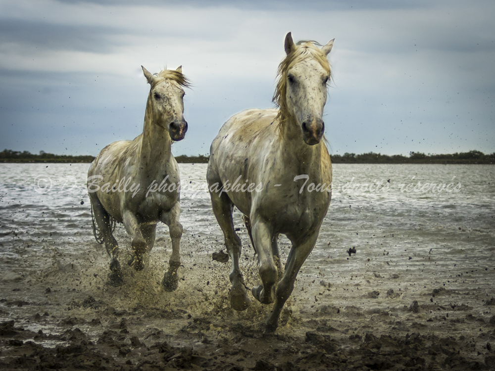 , Photo par Denis Bailly