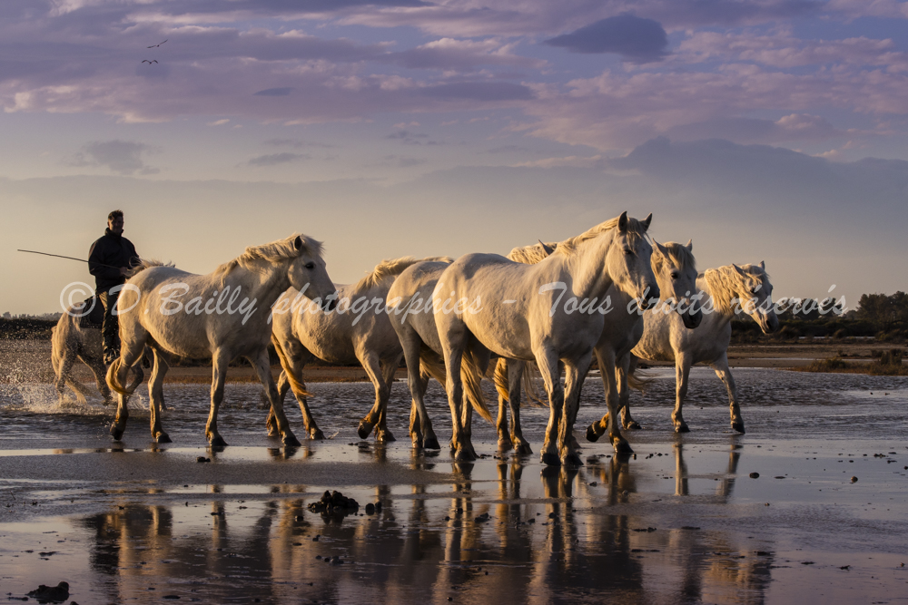 , Photo par Denis Bailly