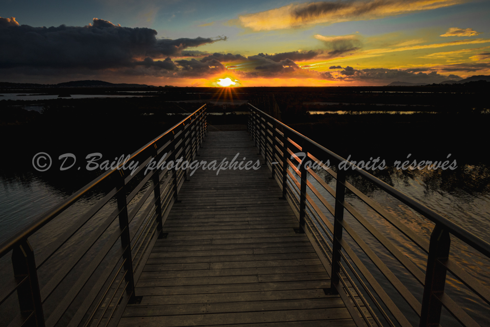 , Photo par Denis Bailly