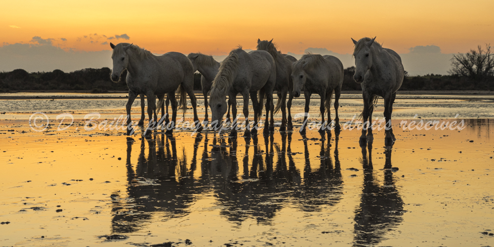 , Photo par Denis Bailly