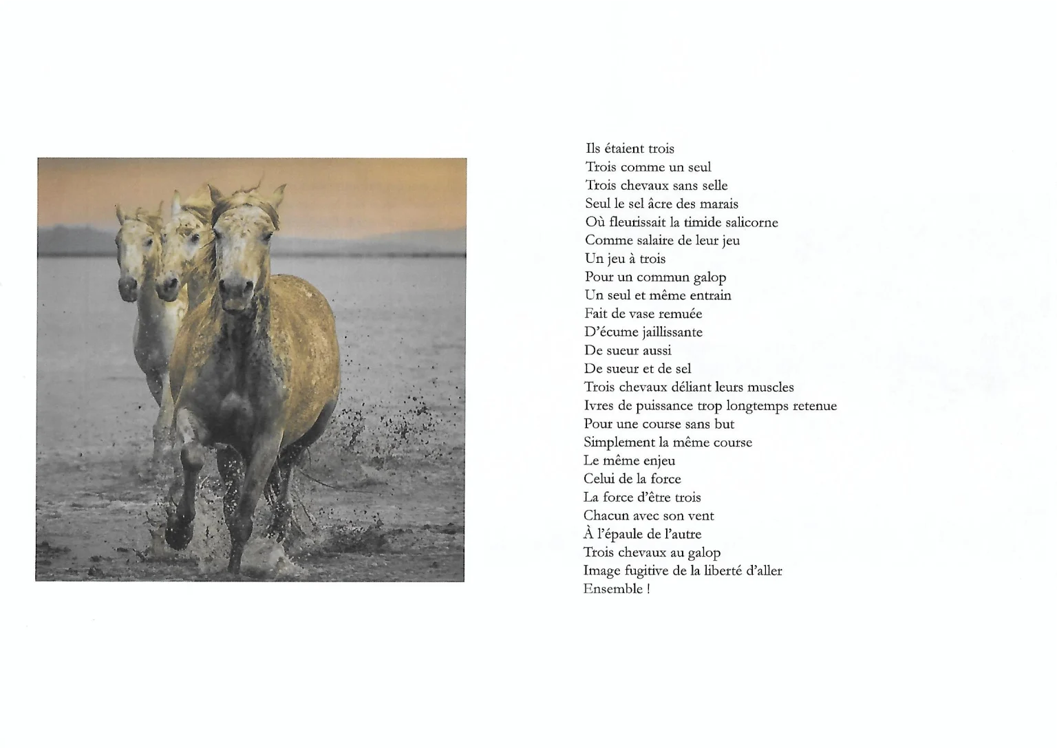 Extrait du livre, "Ils étaient Trois": Il a suffi d'un instant: Photographies et textes