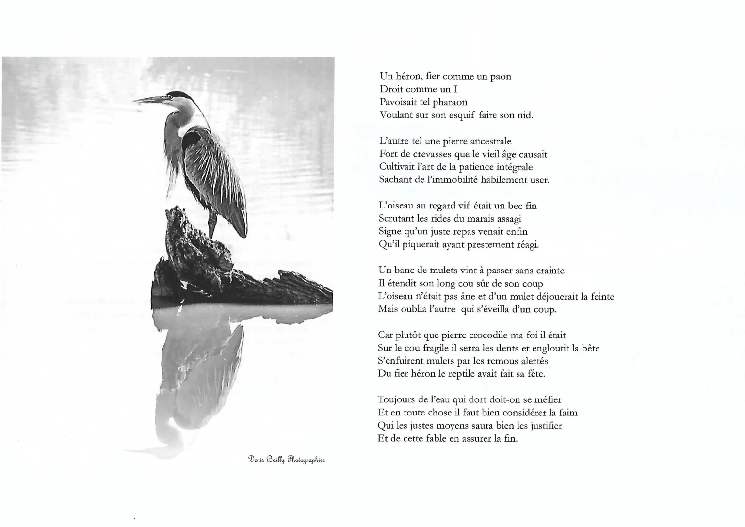 Extrait du livre, "Le Héron": Il a suffi d'un instant: Photographies et textes