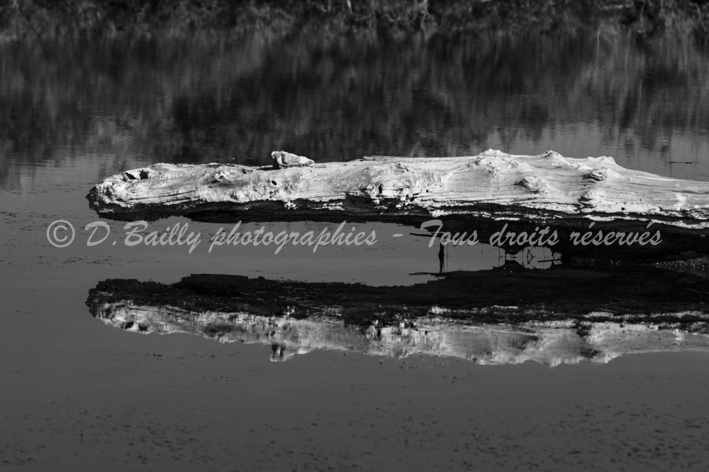 , Photo par Denis Bailly