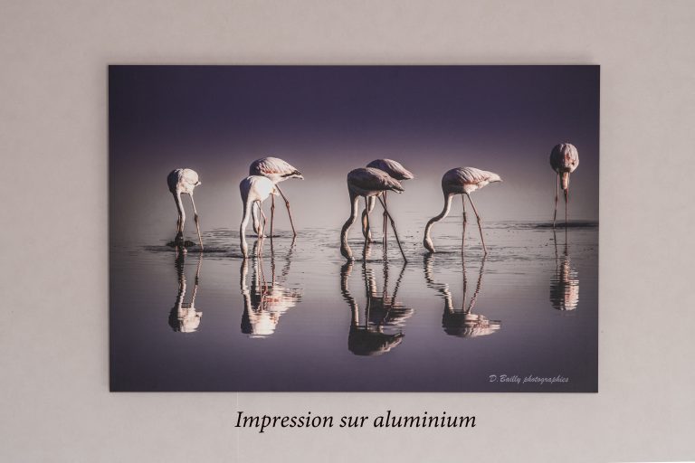 Exemple 1 cadre photo sans bord