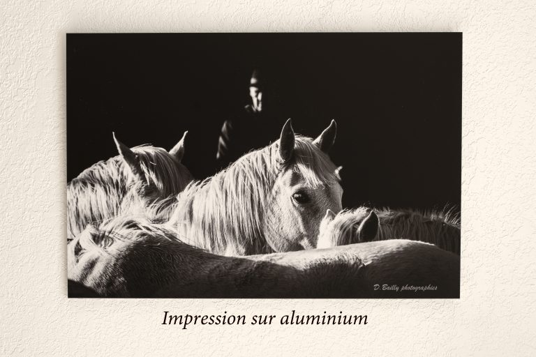 Exemple 2 cadre photo sans bord