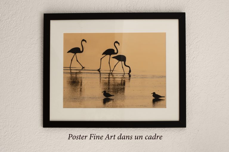 Exemple 2 cadre photo avec bord