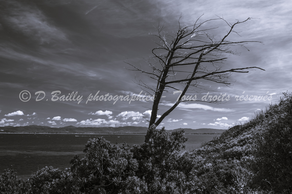 , Photo par Denis Bailly