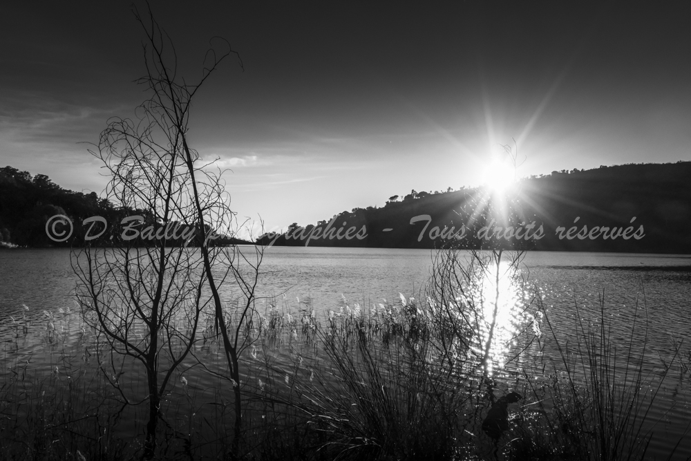 , Photo par Denis Bailly