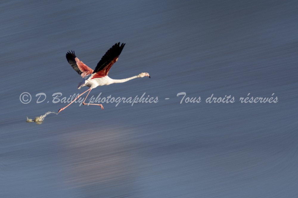 , Photo par Denis Bailly