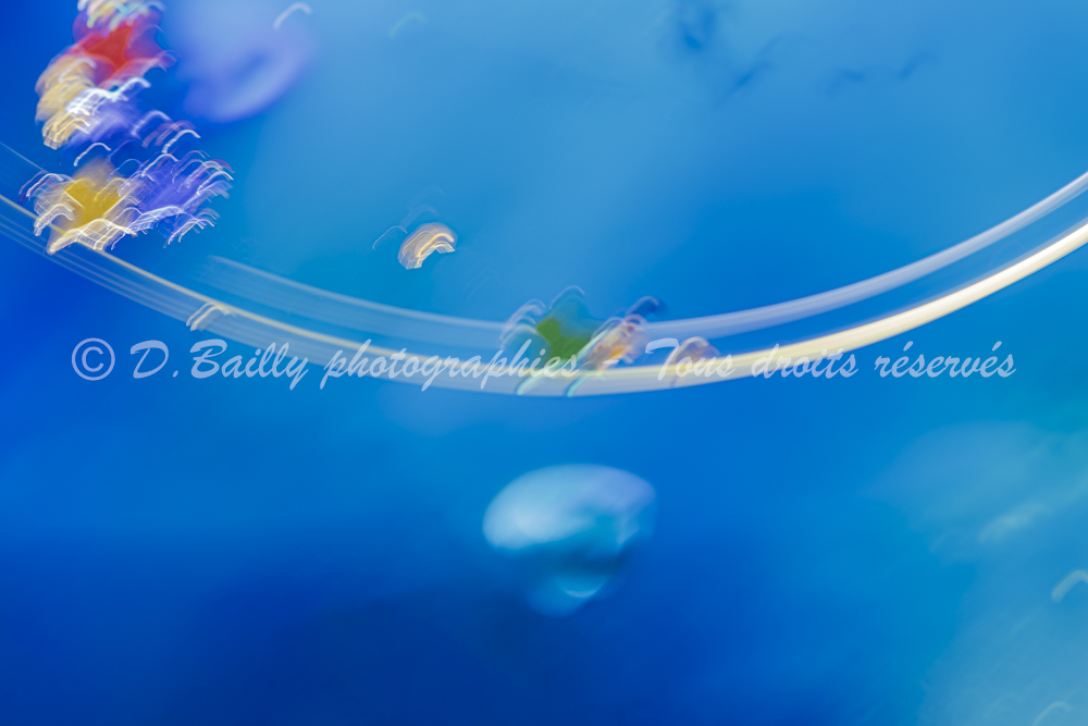 , Photo par Denis Bailly