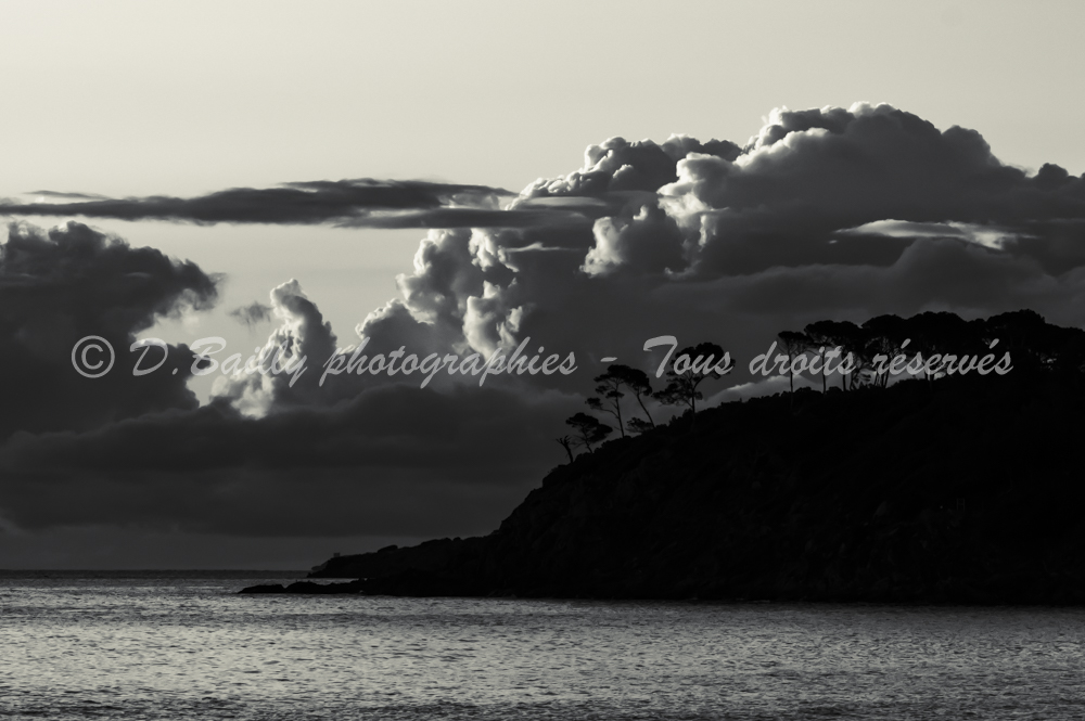 , Photo par Denis Bailly