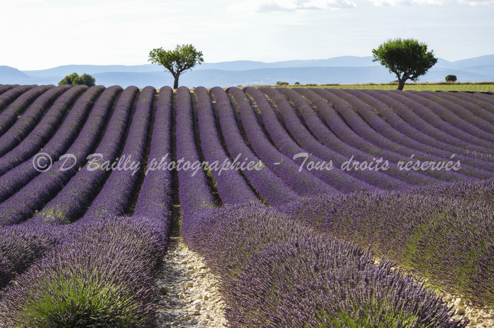 , Photo par Denis Bailly