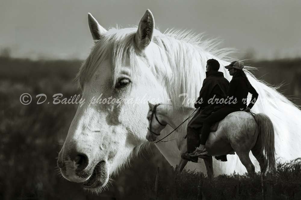 , Photo par Denis Bailly