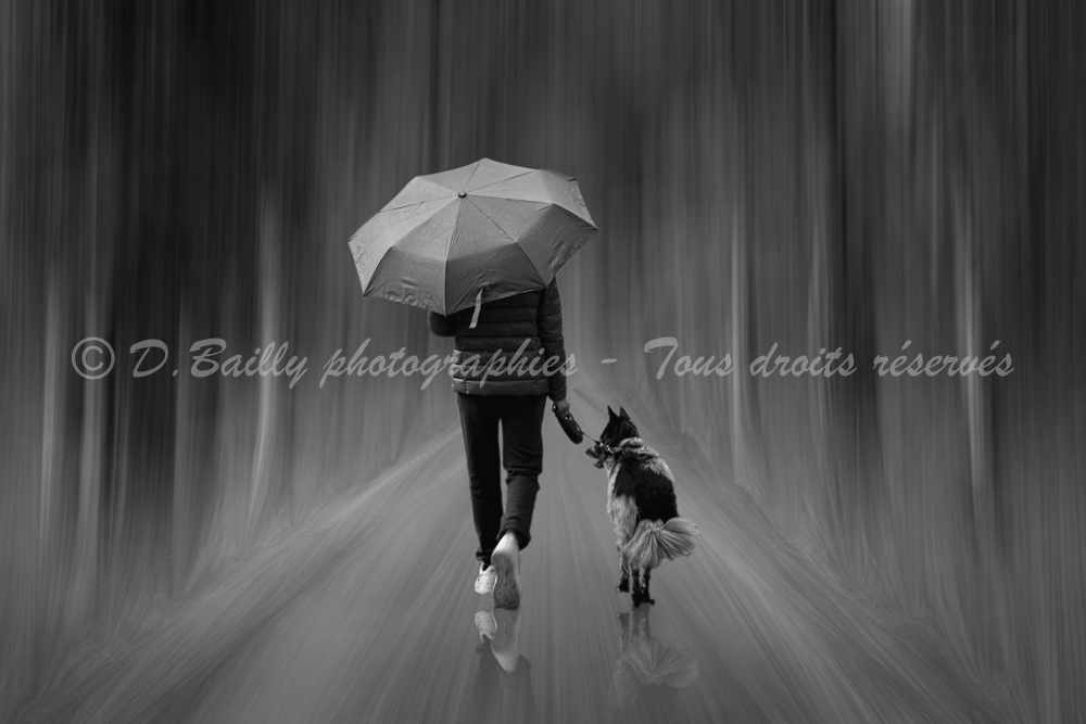 , Photo par Denis Bailly