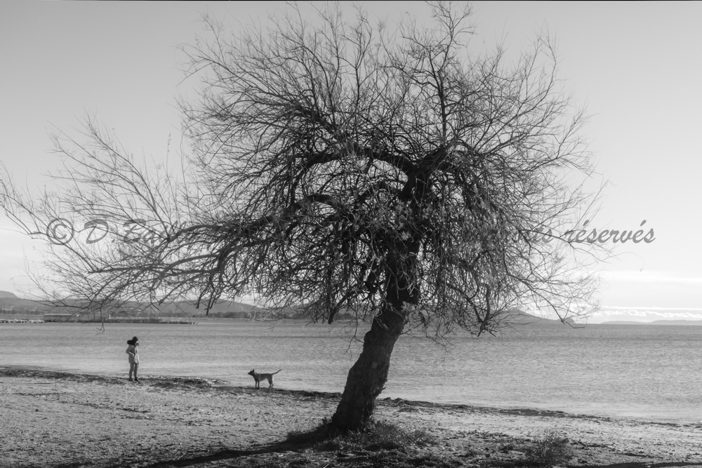 , Photo par Denis Bailly