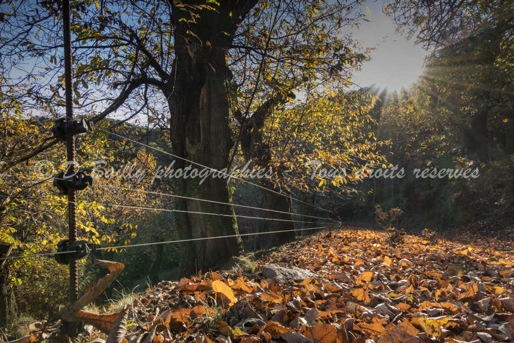 , Photo par Denis Bailly