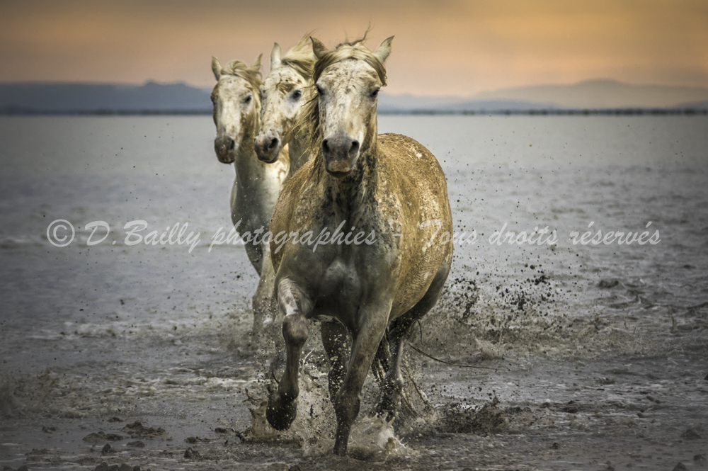, Photo par Denis Bailly