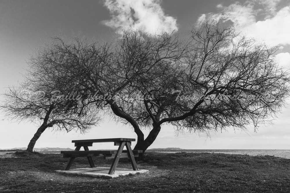 , Photo par Denis Bailly