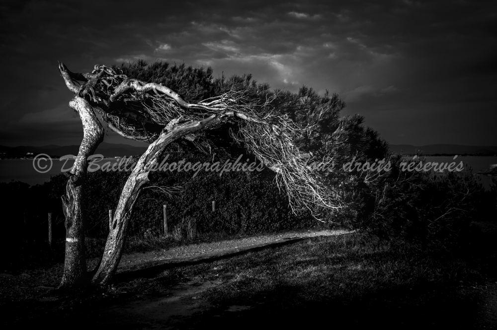 , Photo par Denis Bailly