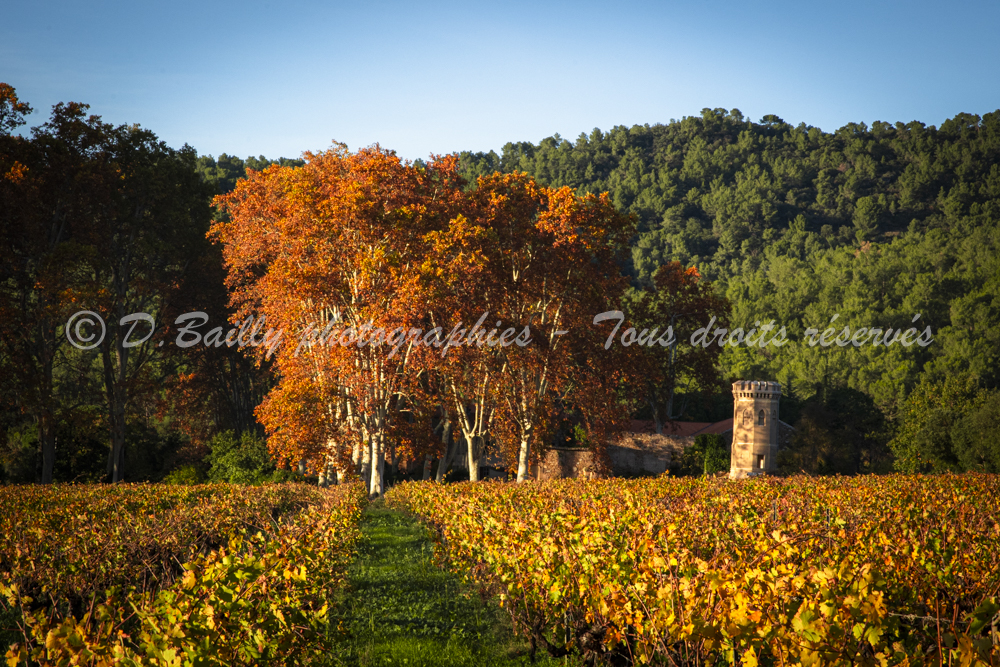, Photo par Denis Bailly