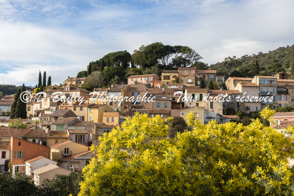 , Photo par Denis Bailly